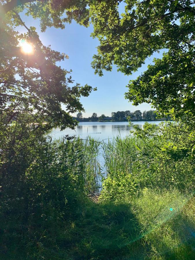 Ferienhaus Seeblick am Harkebrügger See mit Sauna und Kamin Barssel  Exterior foto