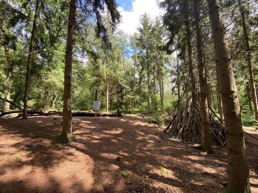Ferienhaus Seeblick am Harkebrügger See mit Sauna und Kamin Barssel  Exterior foto
